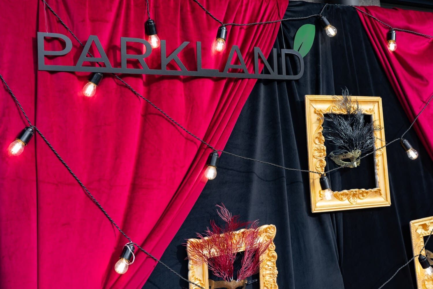 ParkLand Kids’ Carnival: A Day of Color, Creativity, and Community